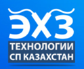 VTEM Logo